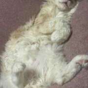 ヒメ日記 2025/09/29 09:03 投稿 りの なでし娘