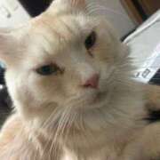 ヒメ日記 2025/09/30 06:20 投稿 りの なでし娘