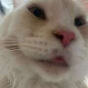 ヒメ日記 2025/10/10 07:12 投稿 りの なでし娘