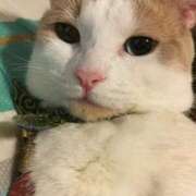 ヒメ日記 2025/10/11 01:12 投稿 りの なでし娘