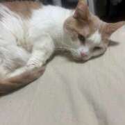 ヒメ日記 2025/10/11 06:00 投稿 りの なでし娘