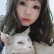 ヒメ日記 2025/10/11 13:01 投稿 りの なでし娘