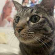 ヒメ日記 2025/10/12 22:35 投稿 りの なでし娘