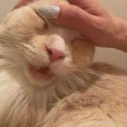 ヒメ日記 2025/10/13 09:19 投稿 りの なでし娘