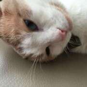 ヒメ日記 2025/10/13 23:32 投稿 りの なでし娘