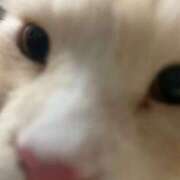 ヒメ日記 2025/10/15 05:30 投稿 りの なでし娘