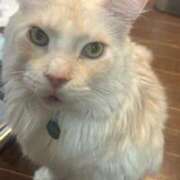 ヒメ日記 2025/10/16 20:35 投稿 りの なでし娘