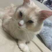 ヒメ日記 2025/10/21 15:43 投稿 りの なでし娘