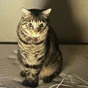 ヒメ日記 2025/10/27 07:59 投稿 りの なでし娘