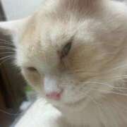 ヒメ日記 2025/10/28 00:26 投稿 りの なでし娘