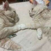 ヒメ日記 2025/10/30 08:04 投稿 りの なでし娘