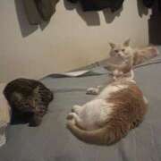 ヒメ日記 2025/10/31 06:15 投稿 りの なでし娘