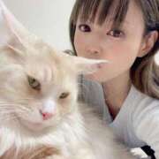 ヒメ日記 2025/11/05 13:01 投稿 りの なでし娘