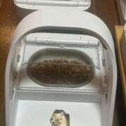 ヒメ日記 2025/11/06 00:22 投稿 りの なでし娘