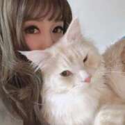 ヒメ日記 2025/11/08 13:20 投稿 りの なでし娘