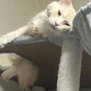 ヒメ日記 2025/11/15 10:30 投稿 りの なでし娘