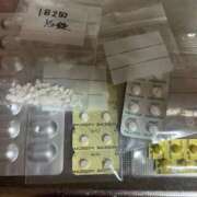 ヒメ日記 2025/11/22 10:20 投稿 りの なでし娘