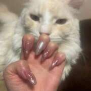 ヒメ日記 2025/11/26 10:06 投稿 りの なでし娘