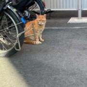 ヒメ日記 2025/12/02 12:05 投稿 りの なでし娘