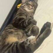 りの 長いんですが、見ていかれますか？ なでし娘