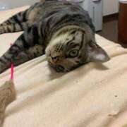 ヒメ日記 2025/12/14 06:59 投稿 りの なでし娘