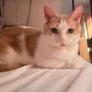 ヒメ日記 2025/12/14 20:23 投稿 りの なでし娘