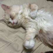 ヒメ日記 2025/12/19 06:10 投稿 りの なでし娘