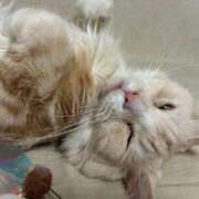 ヒメ日記 2025/12/22 01:53 投稿 りの なでし娘