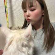 ヒメ日記 2026/01/04 12:08 投稿 りの なでし娘