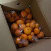 ヒメ日記 2026/01/10 19:00 投稿 りの なでし娘