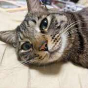 ヒメ日記 2026/01/12 01:33 投稿 りの なでし娘