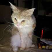 ヒメ日記 2026/01/19 05:49 投稿 りの なでし娘