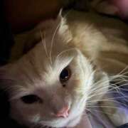 ヒメ日記 2026/01/20 06:10 投稿 りの なでし娘