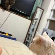 ヒメ日記 2026/01/22 06:04 投稿 りの なでし娘