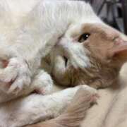 ヒメ日記 2026/01/25 06:06 投稿 りの なでし娘