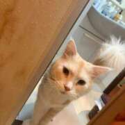 ヒメ日記 2026/01/30 07:43 投稿 りの なでし娘