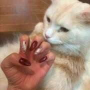 ヒメ日記 2026/02/01 06:24 投稿 りの なでし娘