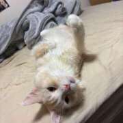 ヒメ日記 2026/02/02 06:00 投稿 りの なでし娘