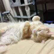 ヒメ日記 2026/02/04 05:26 投稿 りの なでし娘