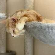 ヒメ日記 2026/02/08 00:57 投稿 りの なでし娘