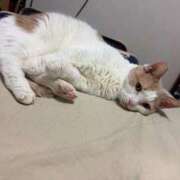 ヒメ日記 2026/02/09 01:21 投稿 りの なでし娘