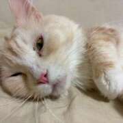 ヒメ日記 2026/02/09 12:21 投稿 りの なでし娘