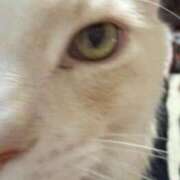 ヒメ日記 2026/02/10 23:20 投稿 りの なでし娘