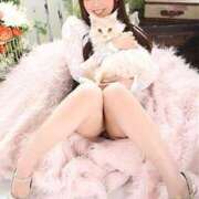 ヒメ日記 2026/02/12 23:42 投稿 りの なでし娘