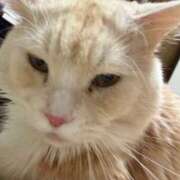 ヒメ日記 2026/02/16 06:05 投稿 りの なでし娘