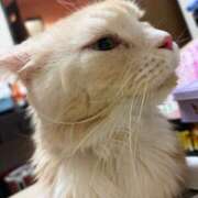 ヒメ日記 2026/02/17 07:27 投稿 りの なでし娘