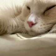 ヒメ日記 2026/02/18 20:17 投稿 りの なでし娘