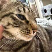 ヒメ日記 2026/02/19 06:14 投稿 りの なでし娘