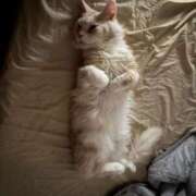 ヒメ日記 2026/02/20 11:04 投稿 りの なでし娘