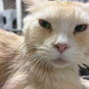 ヒメ日記 2026/02/21 07:39 投稿 りの なでし娘